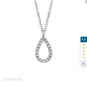 Sparkling Silver Teardrop Necklace